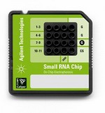 Agilent Life Sciences 5067-1550 Small RNA ladder