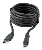 Bird Electronic Corporation 5A2653-10 Cable, USB 10 ft High Speed
