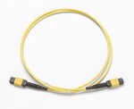 Fluke Networks 4417796 1 M SM TRC, MPOAPC/MPOAPC, PINNED/PINNED, TYPE A