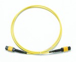 Fluke Networks 4418032 1 M SM TRC, MPOAPC/MPOAPC, UNPINNED/PINNED, TYPE A