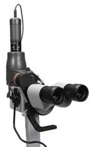 Zeiss Laser Link for 130SL (Each)