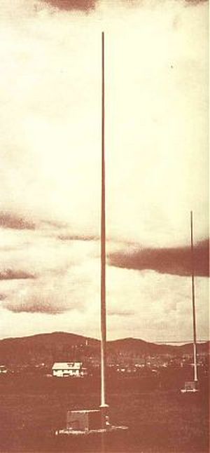 54 FT Self Supporting Whip Antenna