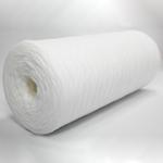 Evoqua Water Technologies, LLC W2T150046
